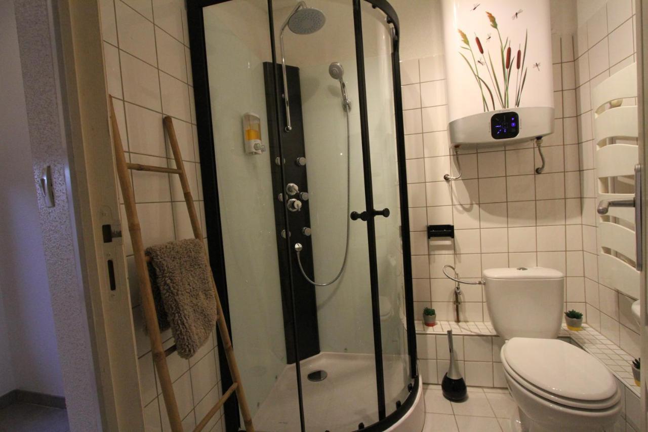 "Appartement Au Centre & Parking" Logement Petite Venise Colmar Exterior photo