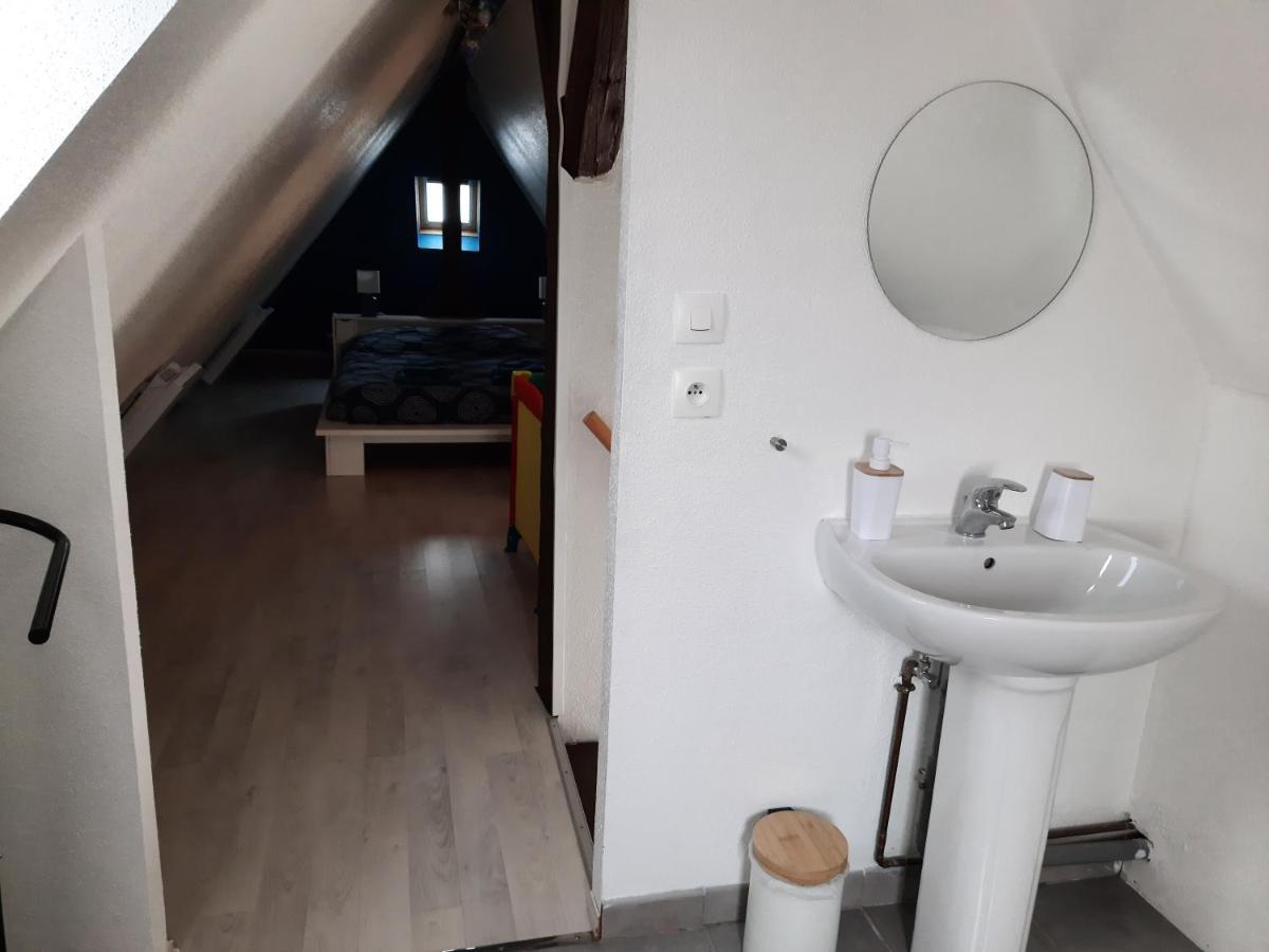 "Appartement Au Centre & Parking" Logement Petite Venise Colmar Exterior photo
